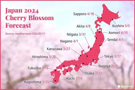 日本ガイシの2024年の配当予想はいくらですか？徹底分析で明らかに！